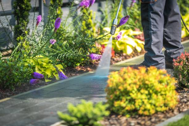 Best House Exterior Washing  in Salem, MA